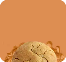 Two gourmet organic peanut butter cookies on a yellow background.